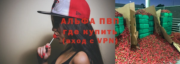 гидра Михайловск