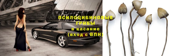 гидра Михайловск