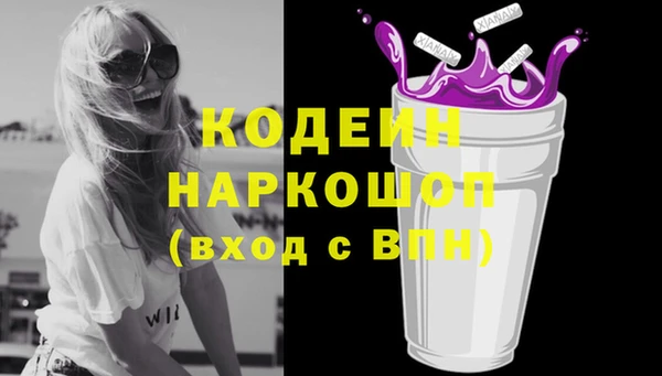 дживик Анива