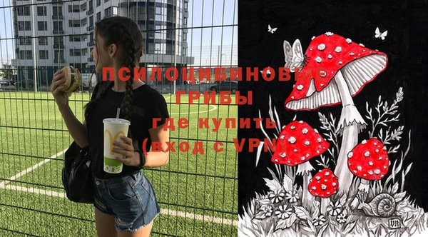 гидра Михайловск