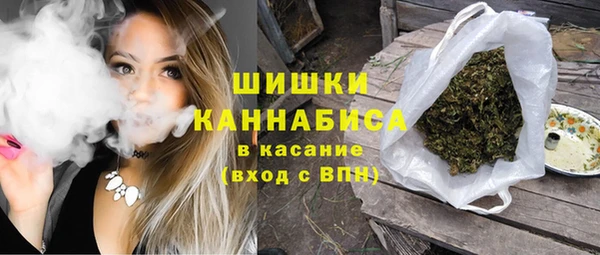 гидра Михайловск