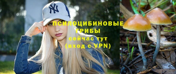 ешки Михайловка