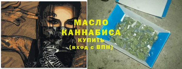 гидра Михайловск