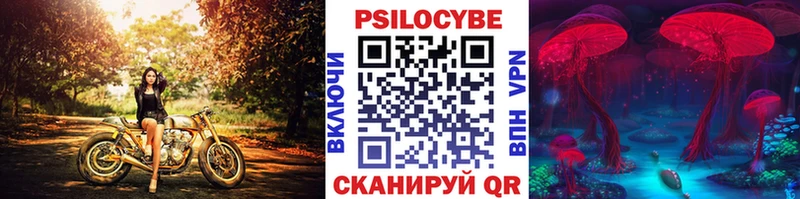 Псилоцибиновые грибы GOLDEN TEACHER  цены   Галич 